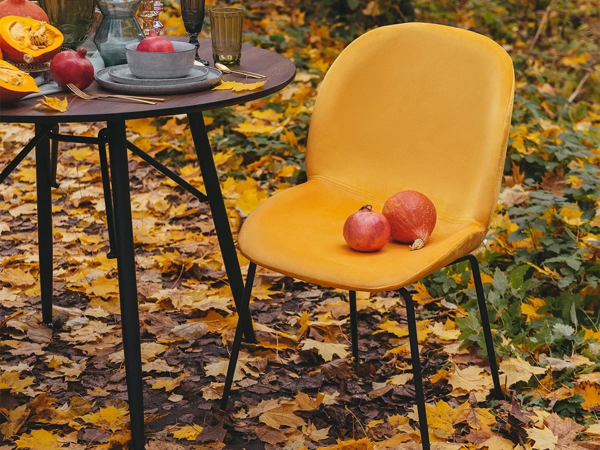 стильный Стул Beetle в Москве стильный Стул Beetle