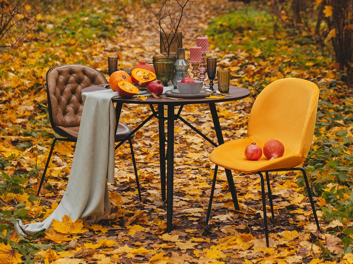 фото Стул Beetle в интерьере