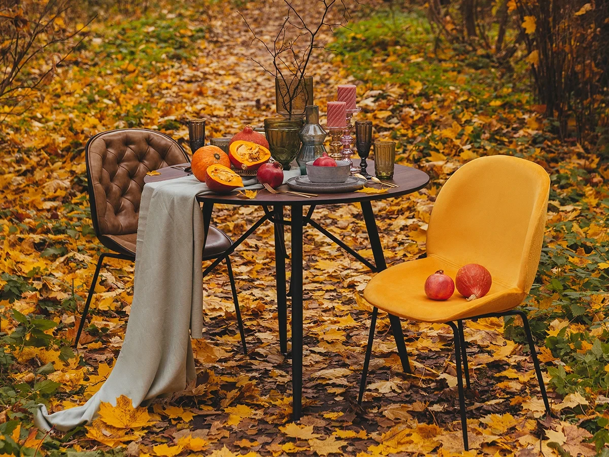 заказать Стул Beetle в интернет-магазине