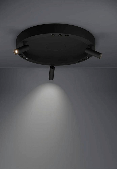 390052 Потолочный светильник BRUSCOLI в Краснодаре 390052 Потолочный светильник BRUSCOLI