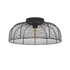 43896 Потолочная люстра RINROE, 1х40W (E27), H200, ?450, сталь, черный