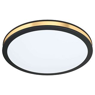 99406 Настенно-потолочный светильник светодиодный PESCAITO