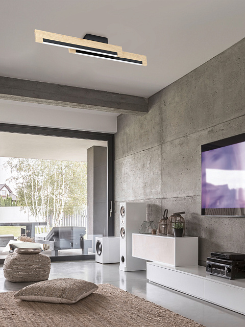 99292 Светодиодный потолочный светильник CAMACHO в Краснодаре 99292 Светодиодный потолочный светильник CAMACHO