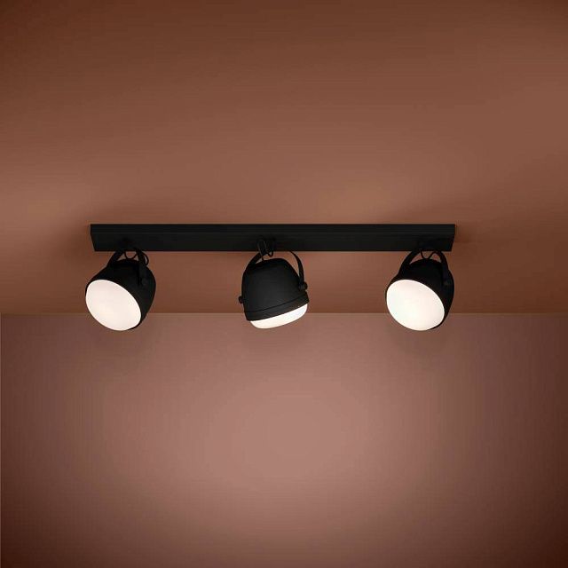 390045 Потолочный светильник UPANEMA