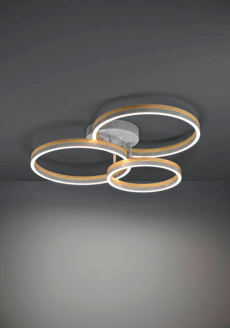 39895 Потолочный светильник CADINARO