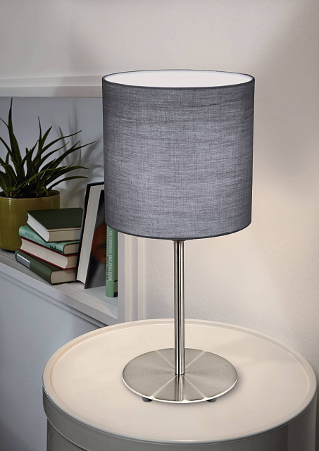 31596 Настольная лампа PASTERI