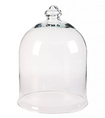 Колпак для цветов Agatha Vase в Краснодаре