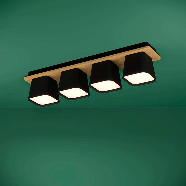 390008 Потолочный светильник RUSCIO