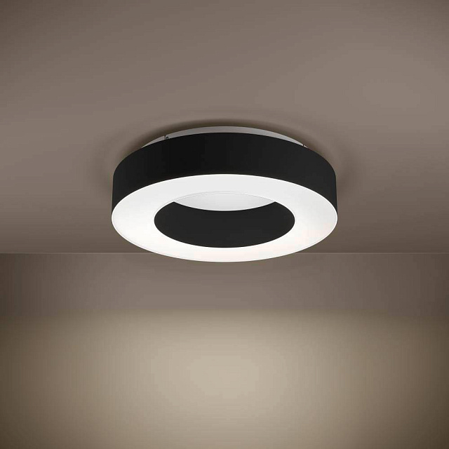 39991 Потолочный светильник GUAMARE