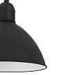 43878 Подвесной светильник (люстра) PRIDDY №1