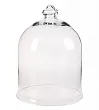 Колпак для цветов Agatha Vase №0 в Краснодаре