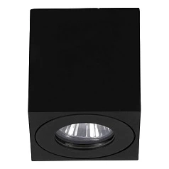 фото 901029 Уличный потолочный светильник TORRECOLA, 1X35W (GU10), IP44, H85, алюминий, пластик, чёрный/прозрачное стекло в интерьере в Краснодаре