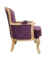 купить стильное Классическое кресло Diesta Violet в Краснодаре