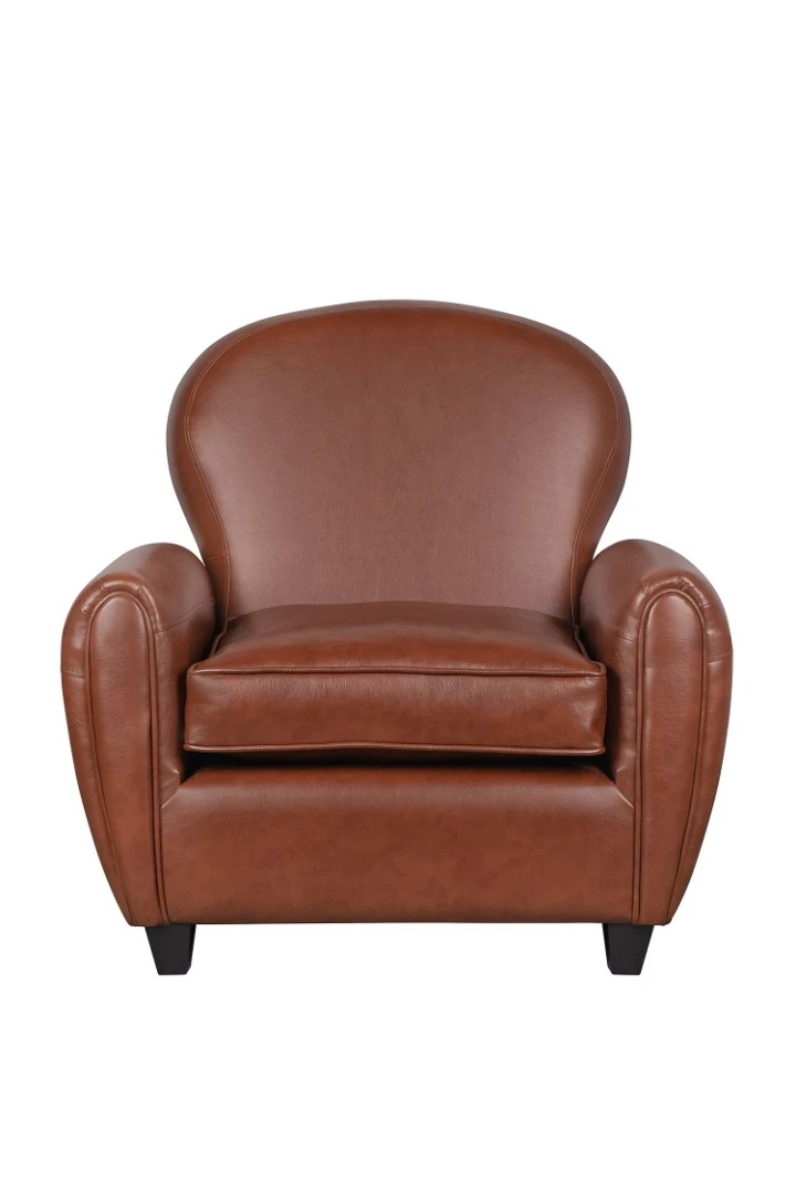Кресло широкое Flog Brown V2 в Краснодаре