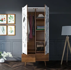 купить красивый Шкаф двухстворчатый "Berber" принт 9 арт BB16/Print_09 в интернет-магазине в Краснодаре