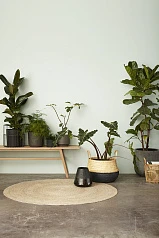 СКАМЬЯ HUBSCH ИЗ ДУБА в интернет-магазине в Краснодаре