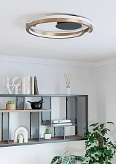 901825 Светодиодный настенно-потолочный светильник с регулировкой цветовой температуры MEZZOMONTE, 1X20W 1X20W(LED LED), 2700-6500K, 2220 2220lm, алюм в Краснодаре