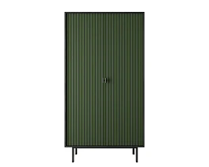 купить Шкаф двухдверный "Emerson" арт EM091/green/L в Краснодаре