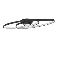 фото 900947 Потолочный светильник диммируемый GIANELLA, 36W (LED), 3000K, 3960lm, L880, B335, H210, сталь, черный / пластик, белый в Краснодаре