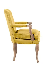 заказать Мягкое полукресло с подлокотниками Anver Oak Yellow в Краснодаре